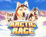 Arctic Race